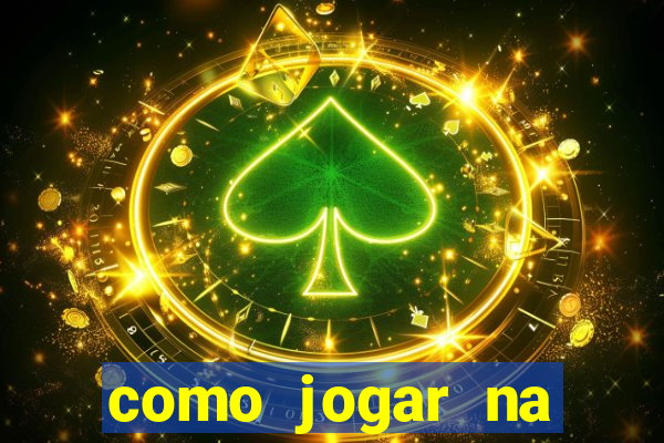 como jogar na loteca pela internet